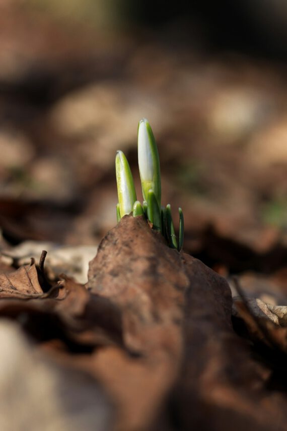 Neuer Gemeindebrief Februar-Mai 2025